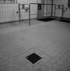 1441269407763_bw_M.jpg